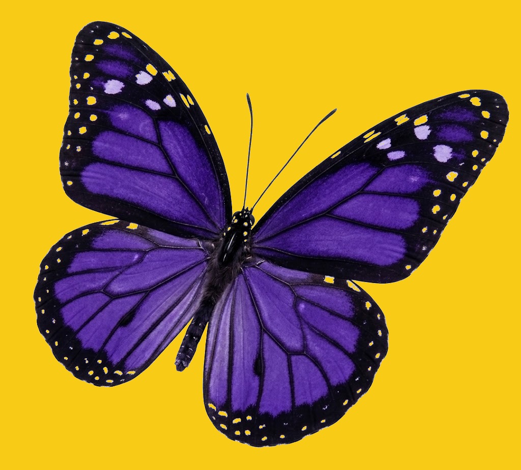 Tacos La Gorda butterfly logo